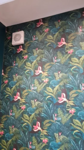 img-Chiswick-side-and-back-extensions-Sam-Hurford-IMG 4237-788-1400