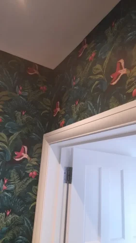 img-Chiswick-side-and-back-extensions-Sam-Hurford-IMG 4242-2-788-1400