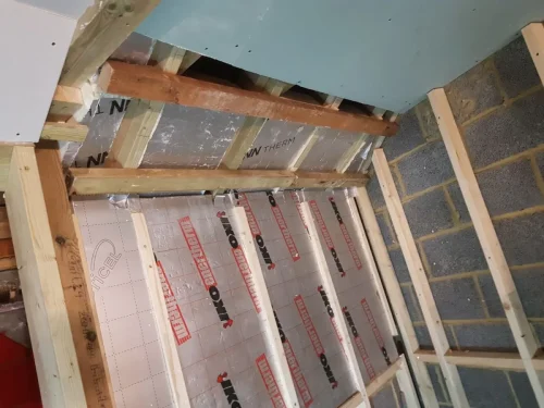 Mark Moore Fulham Garage conversion and small extension